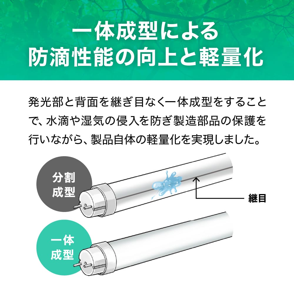 ECL-LG15YN(昼白色)