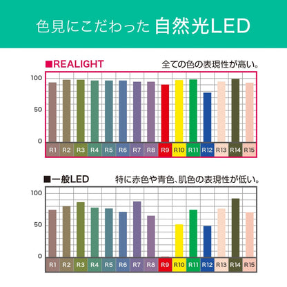 ECL-LG20YN-RL(昼白色 自然光)