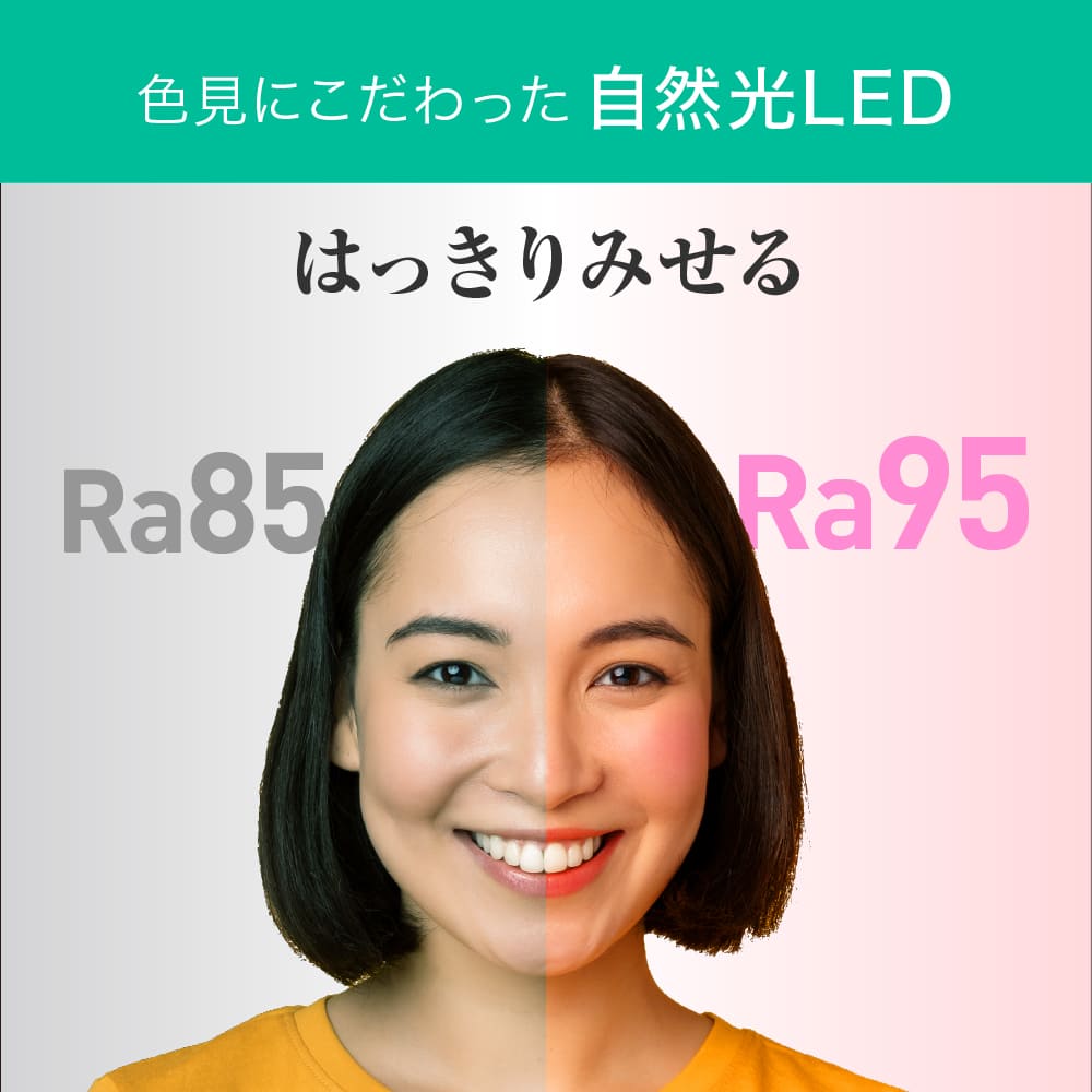 ECL-LG20YN-RL(昼白色 自然光)