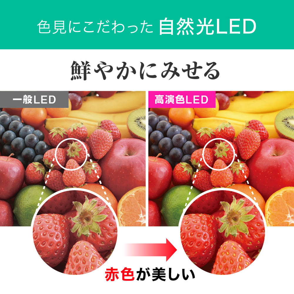 ECL-LG20YN-RL(昼白色 自然光)