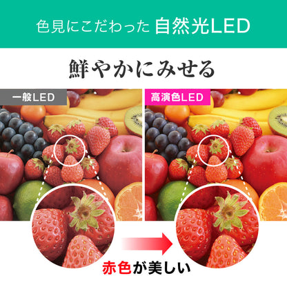 ECL-LG20YN-RL(昼白色 自然光)